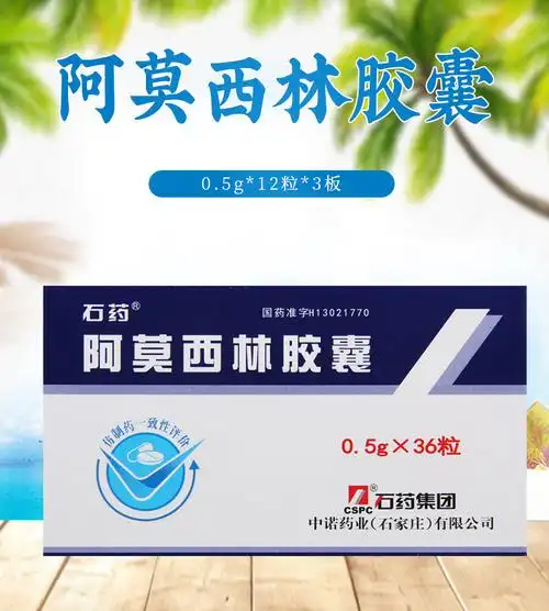 石药抗细菌类 石药 阿莫西林胶囊 0.