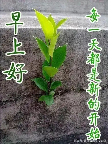 11.14最暖心的早上好问候语图片 早安感人温馨祝福句子