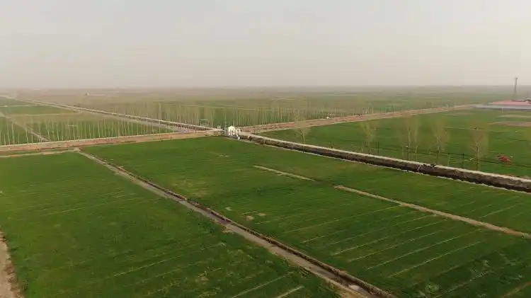 河北玉田高标准农田建设夯实乡村振兴基础