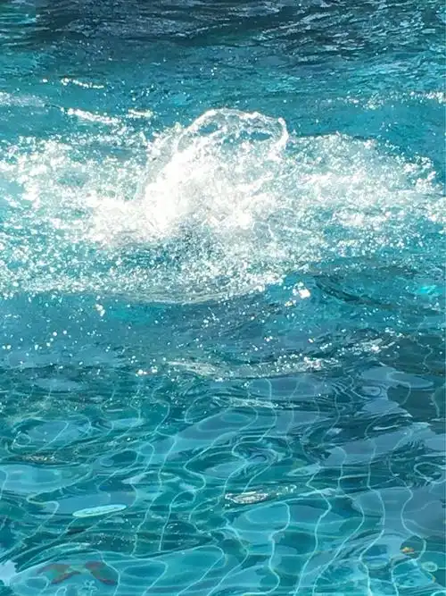 美丽的浪花朵朵绽放