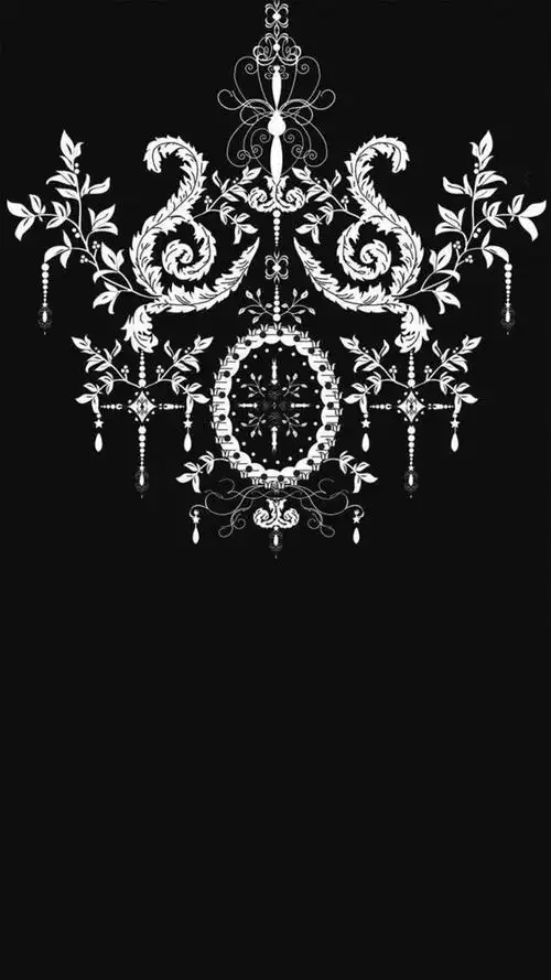 极致对称纹理黑白壁纸