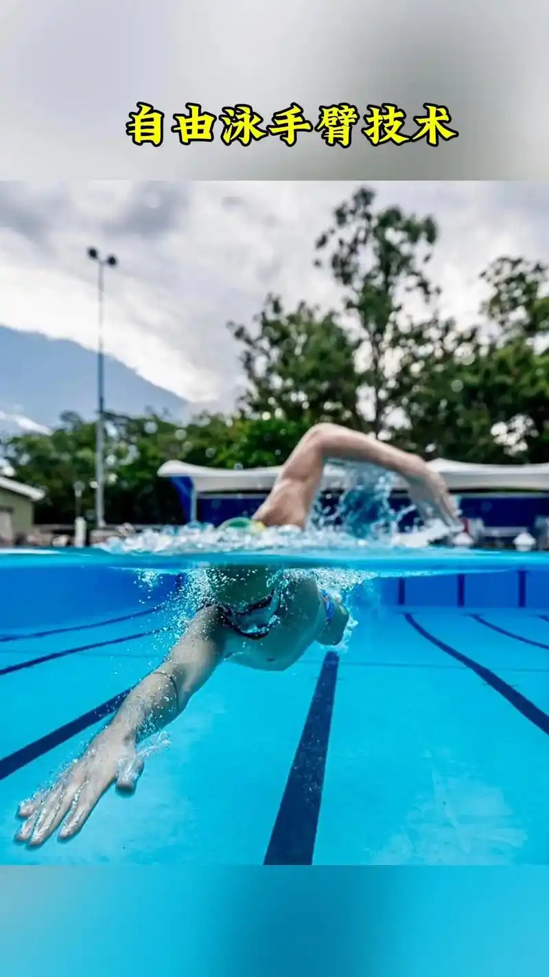 94自由泳手臂技术.