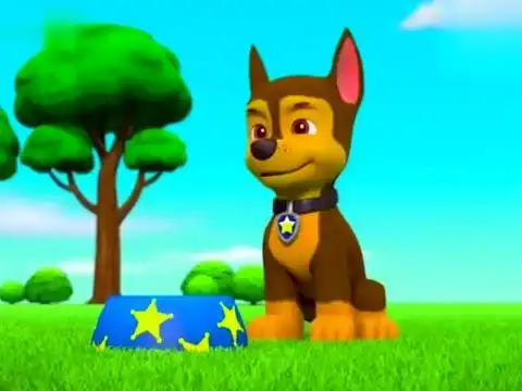 阿奇真帅气,矫健的身手,可以保护自己的女神,保护皇冠哦!