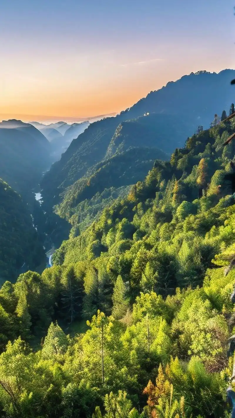 高清森林手机壁纸大放送95 亲们,想要给手机换上一款清新养眼的壁纸