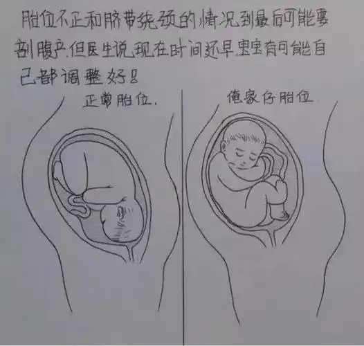 网友画出老婆从怀孕到生子的全过程风格也太暖了