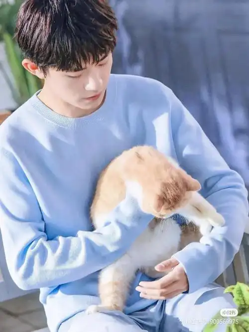 千玺抱着小猫咪的样子,太可爱了.