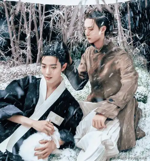 正主没去粉丝上榜芭莎慈善夜没有肖战王一博却有博君一肖