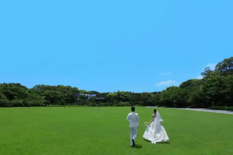 叶县天长地久婚纱摄影外景草地婚纱照拍摄