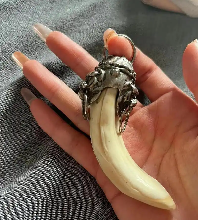 男朋友送给我的,他说这个是老虎的牙,挺值钱的