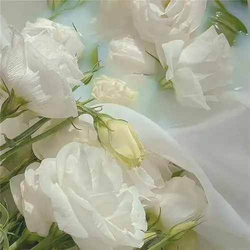 背景图干净治愈系绿色壁纸头像