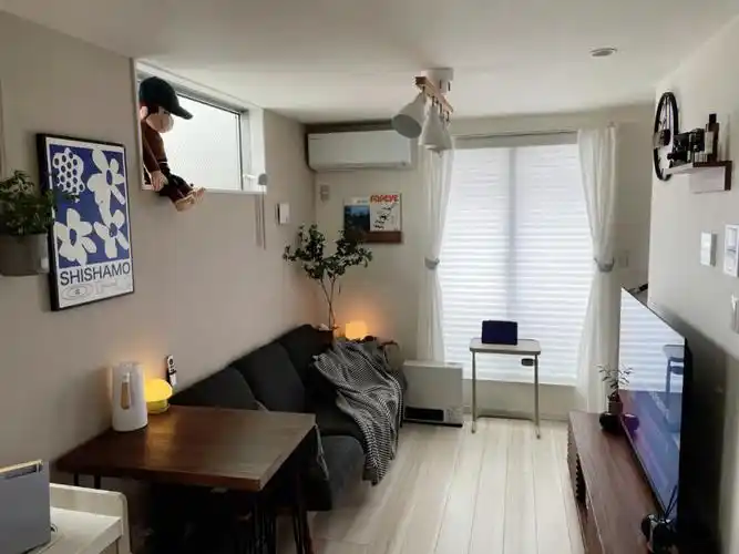 因为房子很小,只有56平却有三室一厅,所以客厅空间很小,这次改造升级