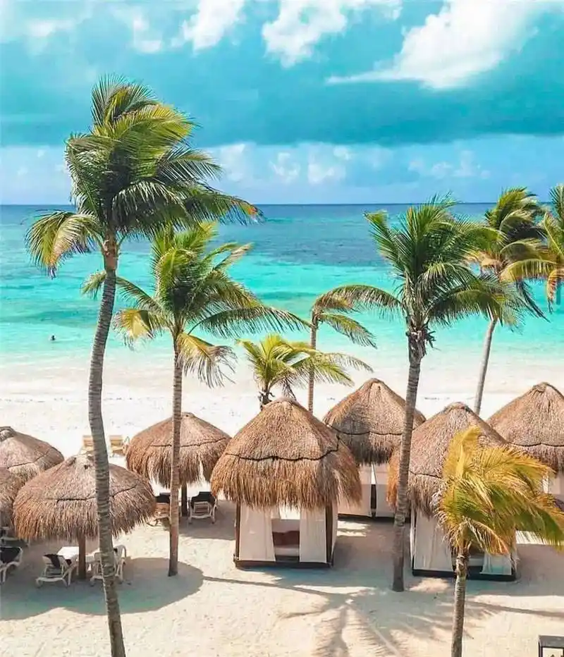 椰子树,沙滩,大海,岛上的美丽景色令人着迷.