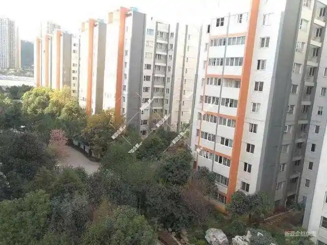 铁合金怡芳苑小区(二期)3室2厅1卫80.41㎡南北65万