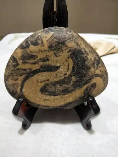 我有块天然奇石天龙戏珠,有没有奇石收藏家感兴趣收藏