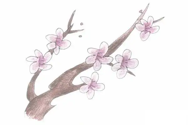 梅花简笔画的画法步骤图教程_动漫人物_儿童简笔画大全_可乐云