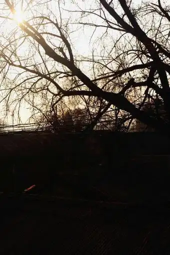 过去的时光购买图片,过去的时光_爱蘑菇街