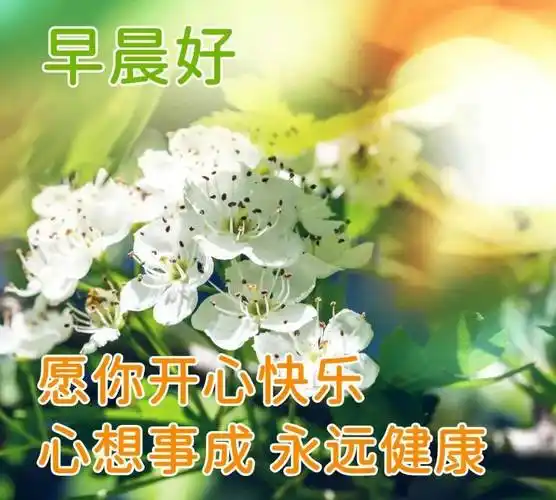 8张好看唯美的鲜花早上好动态图片带字_问候_祝福_亲爱的朋友