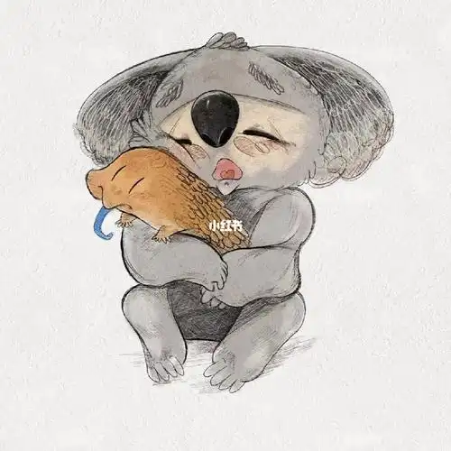 原创树袋熊形象