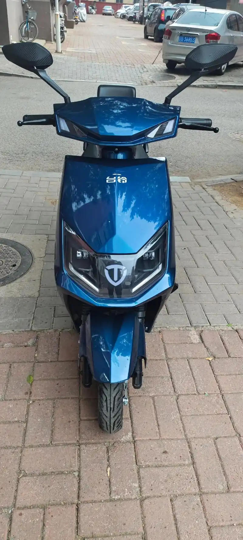 新到精品台铃电动车