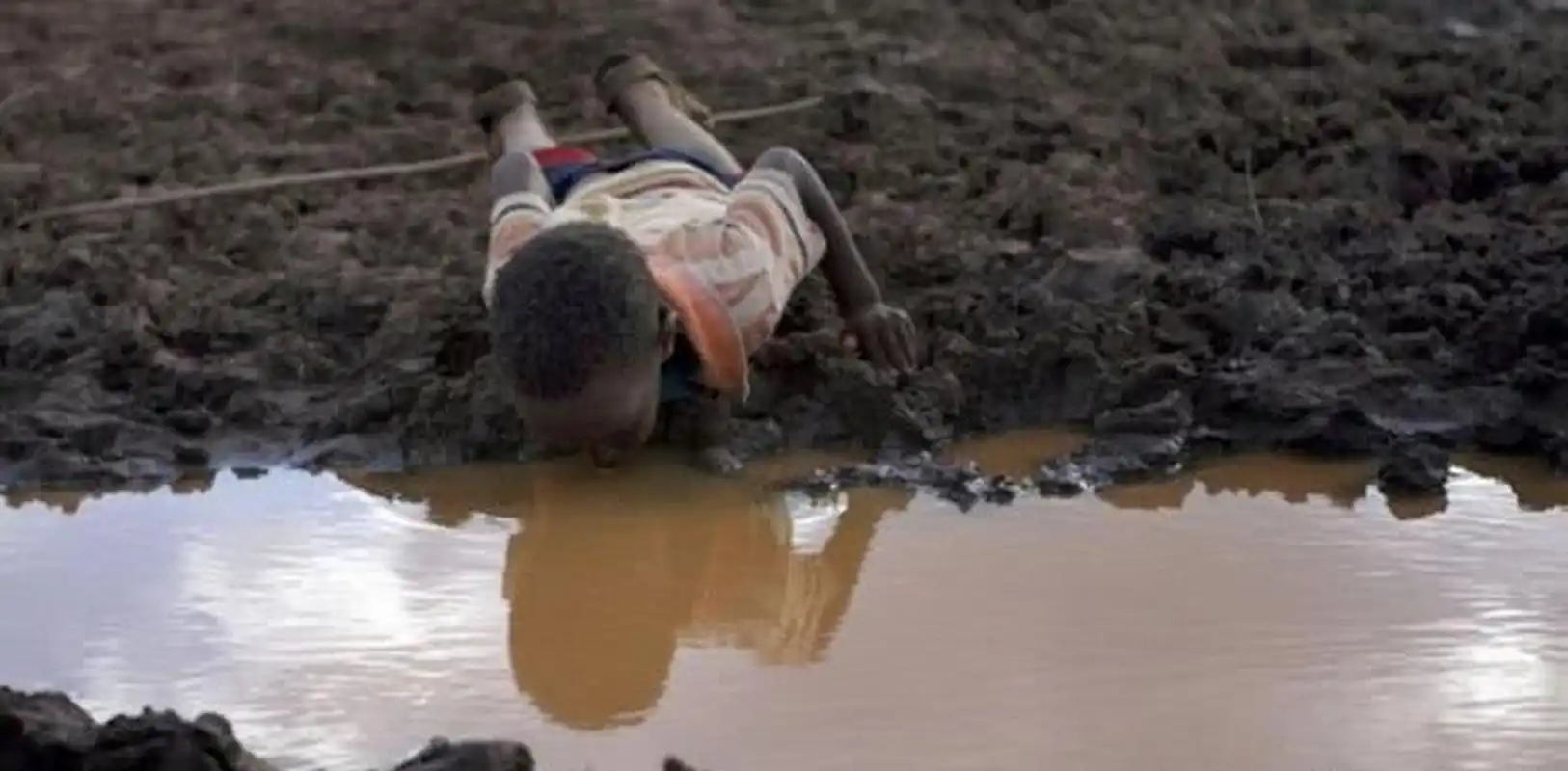 饥饿难耐的年幼非洲男孩弯下腰,舔舐着污浊低洼中所剩无几的水,这水