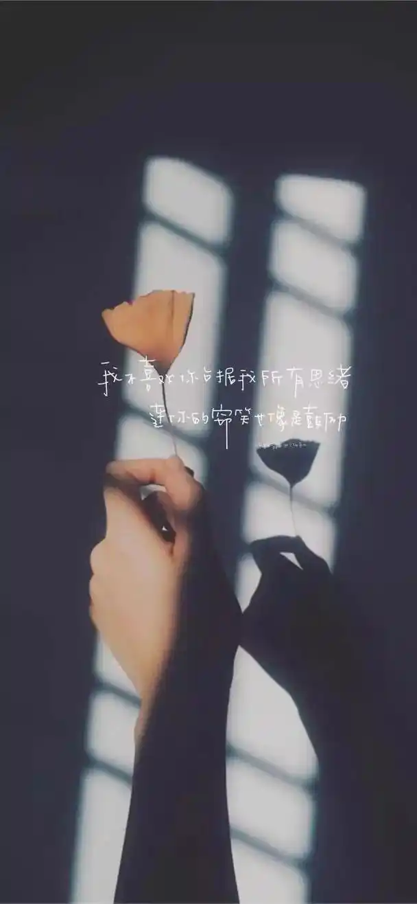 文字心情壁纸.真的没关系,大家都会走错路,会莫名其妙掉眼泪, - 抖音