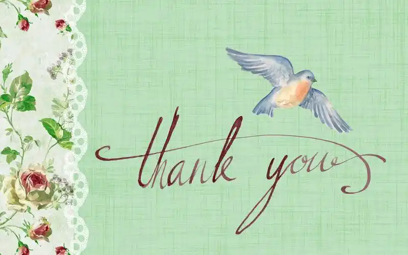 感恩遇见!感谢所有人