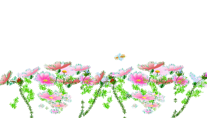 420_240gif 动态图 动图