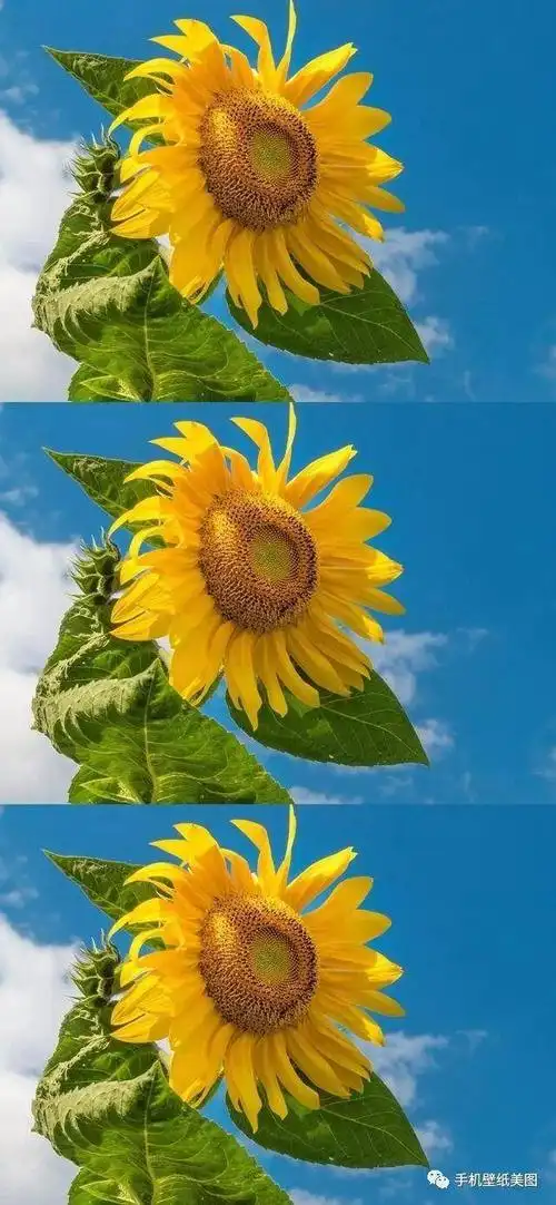 抖音最火的聊天背景图,2020抖音热门壁纸背景图