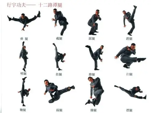 软件名称:少林绝学十二路谭腿教学视频全集 完整版  软件大小: 123kb