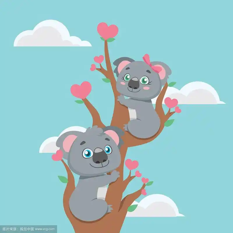 一对可爱的考拉夫妇