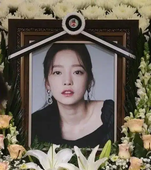 比如去年的韩国歌手具荷拉,崔雪莉等.