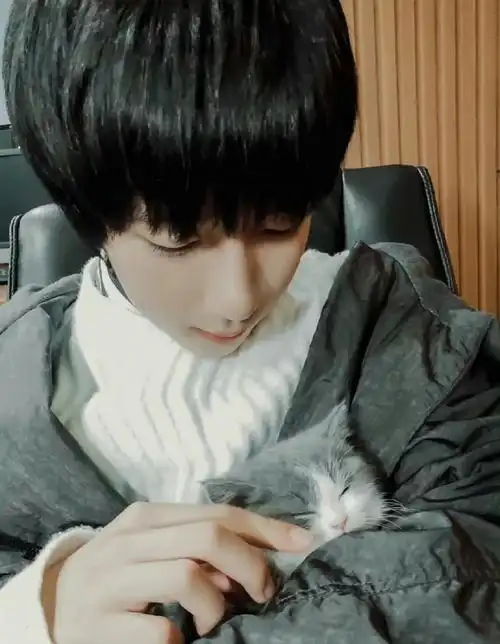 你正在登录贺峻霖女友视角#贺峻霖银发随拍