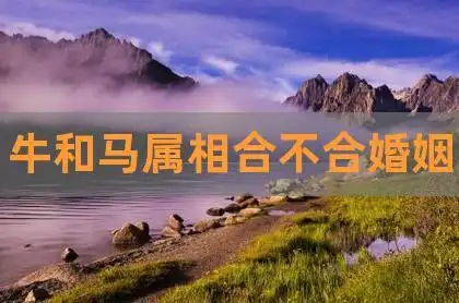 2022-11-26话题:牛和马相配婚姻如何雅静(优雅文静)梦洁(一个梦幻般的