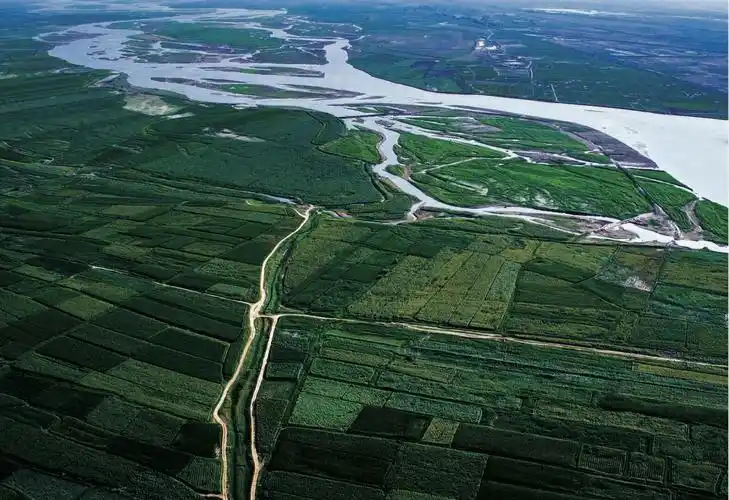 内蒙古巴彦淖尔市以天赋河套品牌建设为引擎助力地方经济绿色高质量