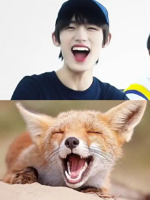 丁程鑫的本体是一只爱笑的小狐狸@时代少年团-丁程鑫