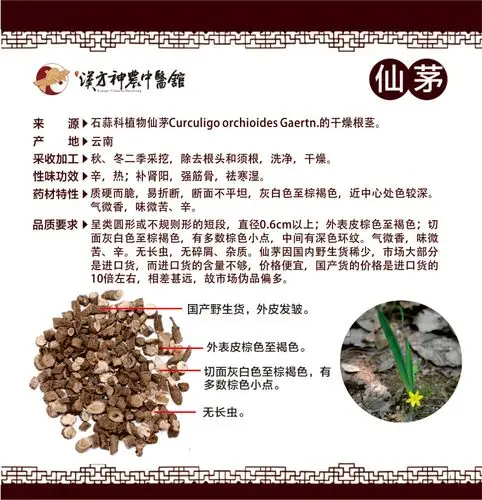 的干燥根茎.