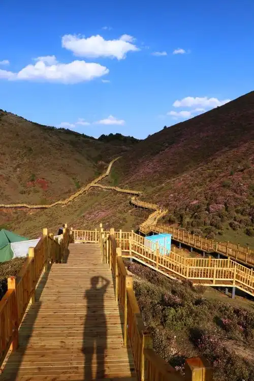 马鹿塘的杜鹃花太惊艳美丽马鹿塘惊险回攀路