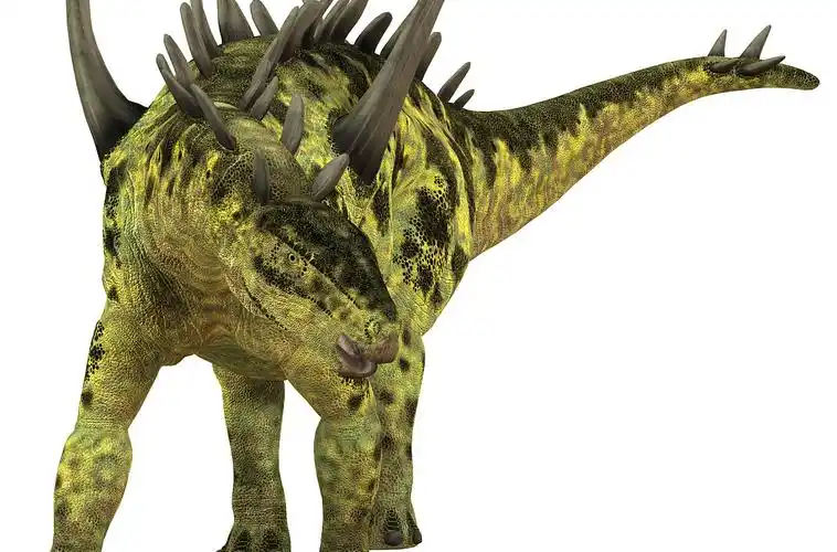 属蜥形纲,鸟臀目,剑龙科,巨刺龙属下恐龙,其的含义就是巨大脊刺的恐龙