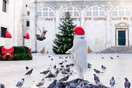 欧洲鸽子小女孩正在广场上喂鸟.欧洲的圣诞节气氛.