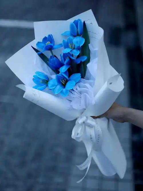 蓝色郁金香