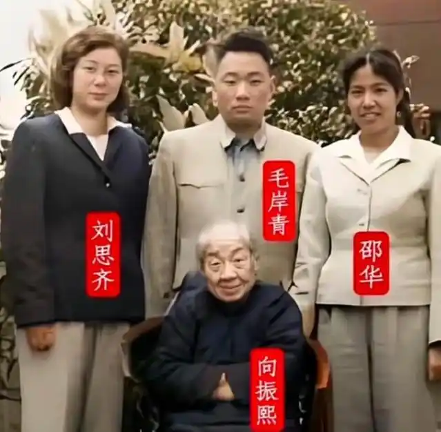 刘思齐19岁有多美?新婚时期一张罕见留影,春风满面,气质非凡