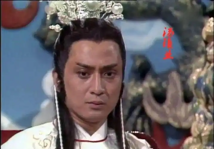 人们的误解汤镇业真的是因为翁美玲事业走向没落的吗