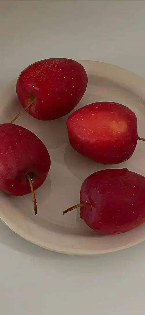 wechat聊天背景图 | 手机壁纸