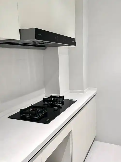 也准备好了这两天准备冲了,问了才发现慧曼的白色款都没有天然气绿标