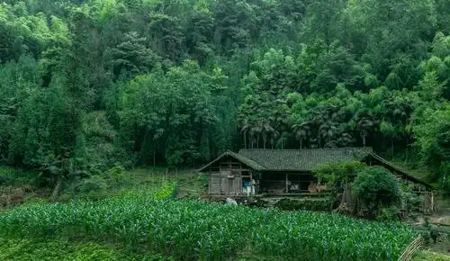 云上南宝 古羌新寨(2)