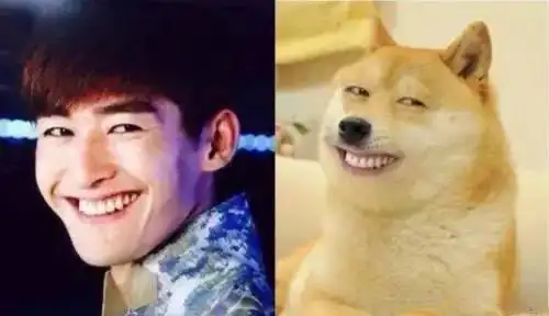 张翰塘主魔性的笑容,作为内地男明星之一,张翰的表情包特点是土豪的帅