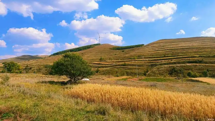 【小飞侠】这个时节的张北草原天路有了秋天的味道,说不出的喜欢-爱卡