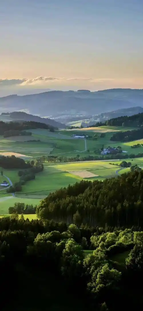 壁纸| 向你发射一组绿色护眼壁纸676767676767 6767