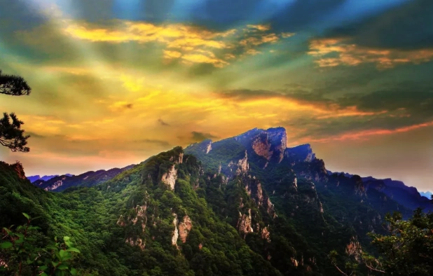 南阳西峡老界岭风景区怎么样景区简介游玩项目门票价格