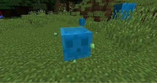 我的世界新的史莱姆mod